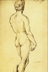 Naaktstudie